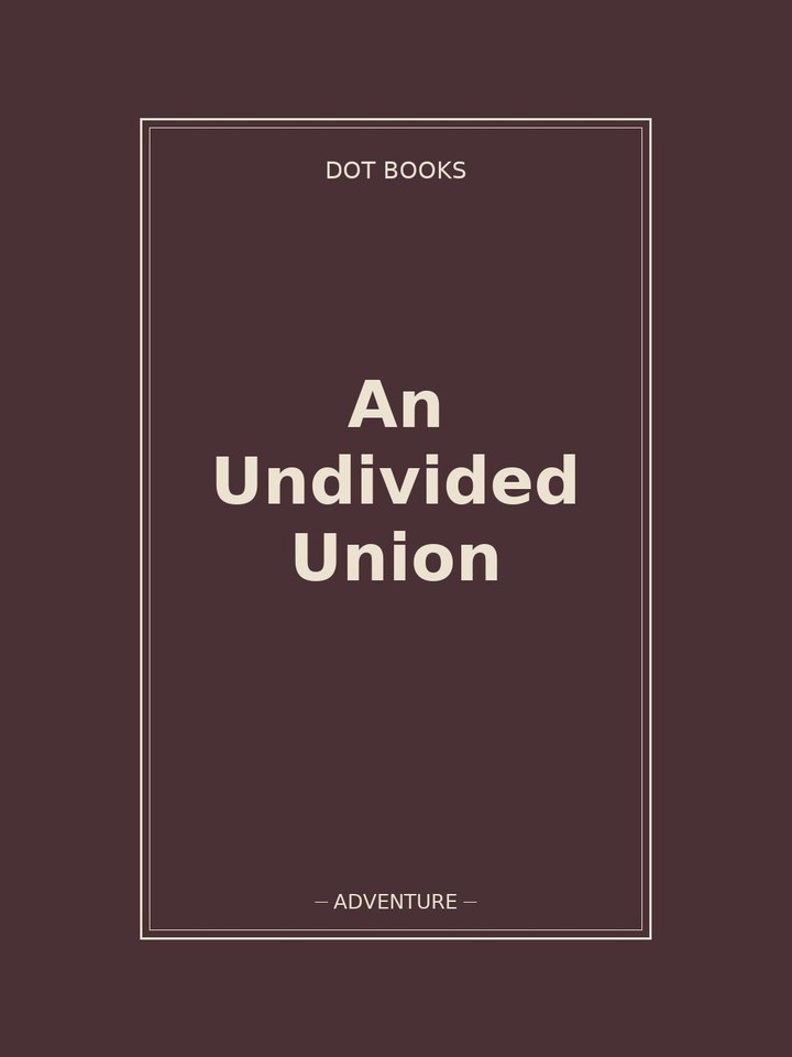 An Undivided Union: story poster
