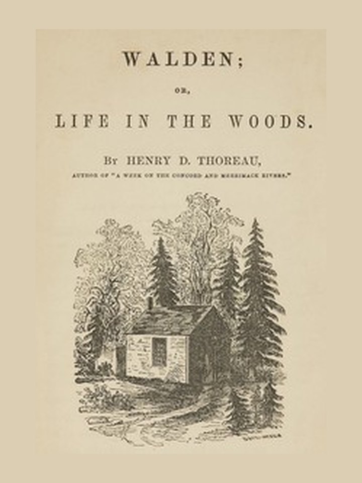 Walden: story poster