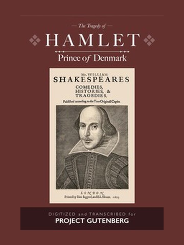 Hamlet: story poster