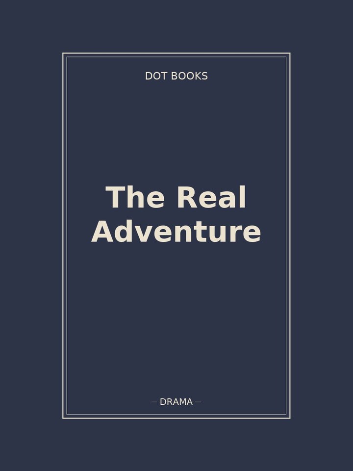 The Real Adventure: story poster