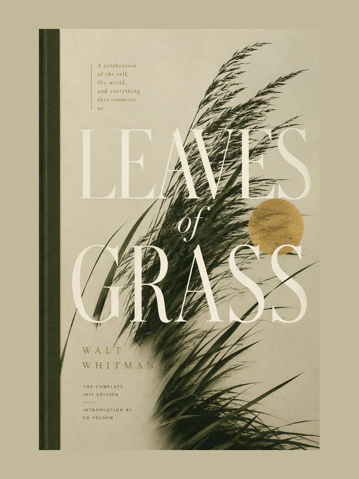 Leaves of Grass: story poster